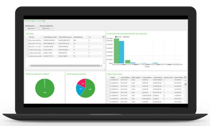 sage frp 1000 software